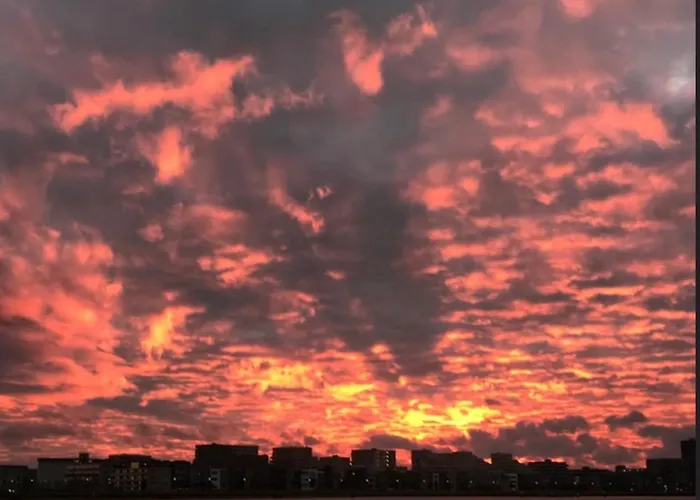 Bed & Breakfast Casey's View House Boat Amsterdam